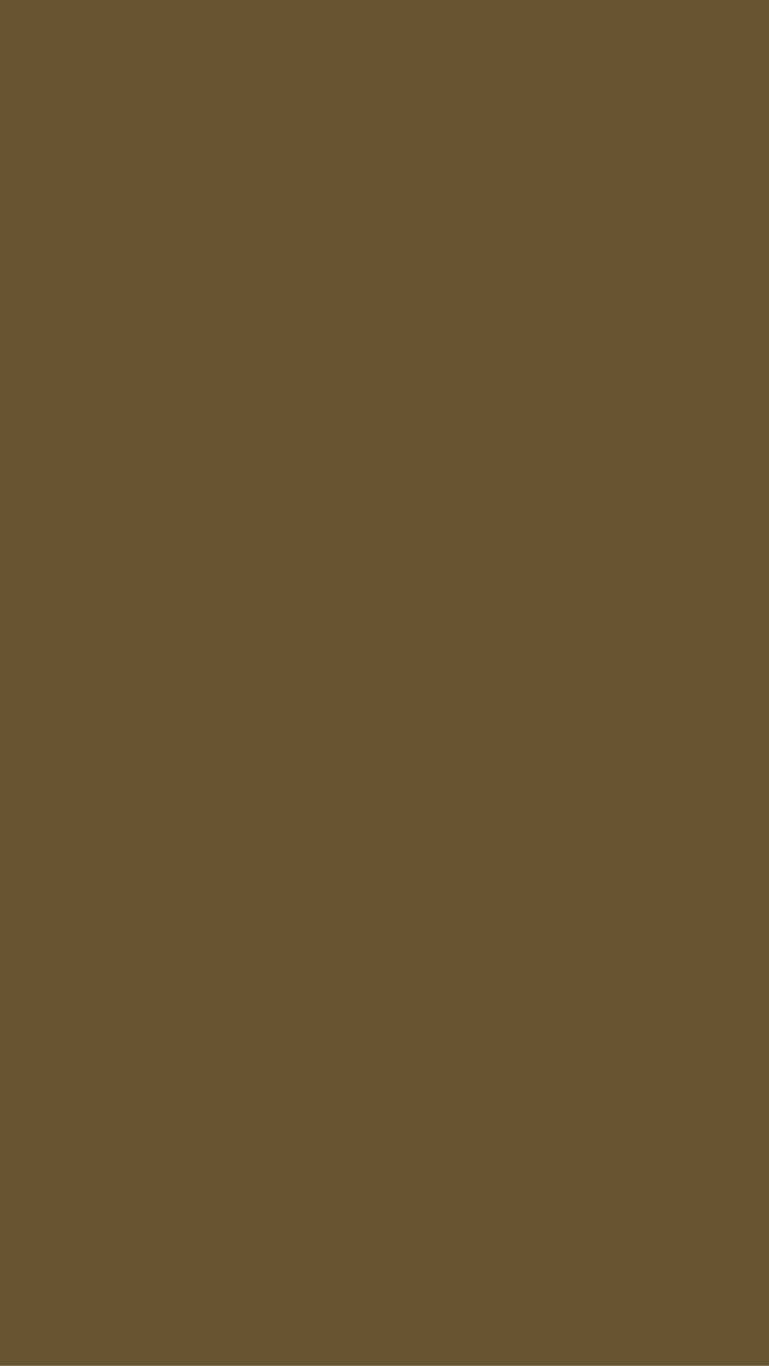 CAMISOLA ALPINA | 15 CORES