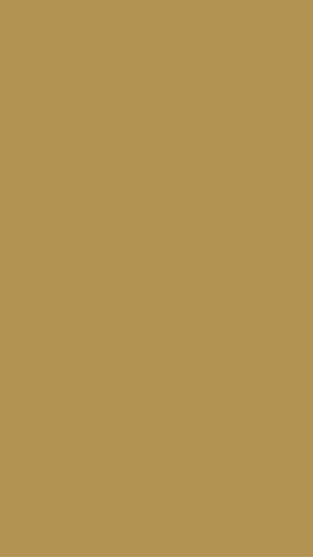 CAMISOLA ALPINA | 15 CORES